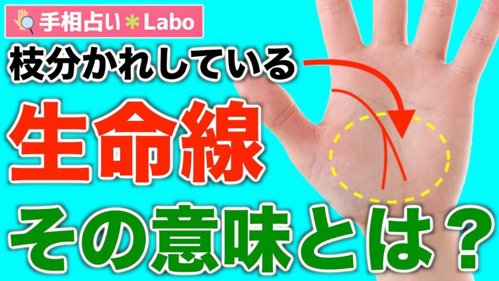 生命線 枝分かれ-【手相占い】枝分かれしている生命線の本当の意味とは?