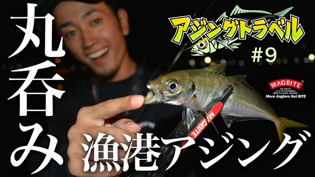《 アジングトラベル vol.9 》爆釣アジングの一部始終!漁港のジグ単スロー攻めで丸のみバイト続出