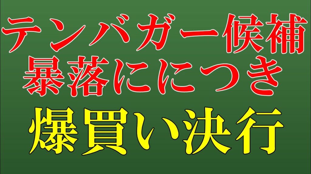 テンバガー 過去-テンバガー候補暴落につき爆買い決行!購入した理由や次の注目銘柄など