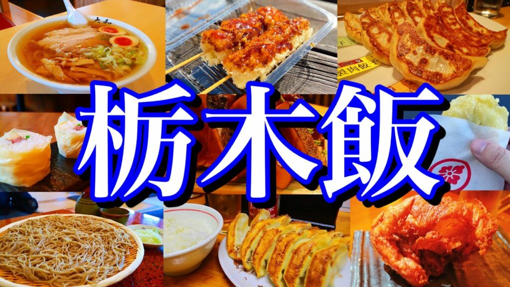 【栃木絶品グルメ】栃木に来たらこれを食べろ!レンタカーで巡る1泊2日のご当地グルメ旅が最高過ぎた!(日光/宇都宮/佐野)