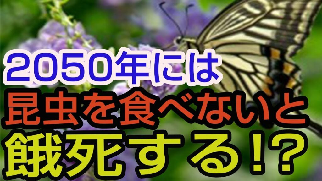 クレイジージャーニー 9tsu-昆虫食 2050年には「人口98億人」昆虫を食べないと餓死する!?
