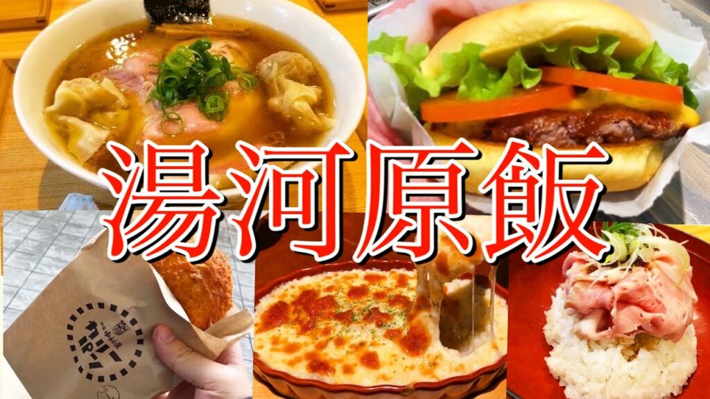 【関東温泉旅行】湯河原!御殿場!海老名!車旅で美味しいグルメを食べまくる!〜飯田商店でラーメンもすする〜