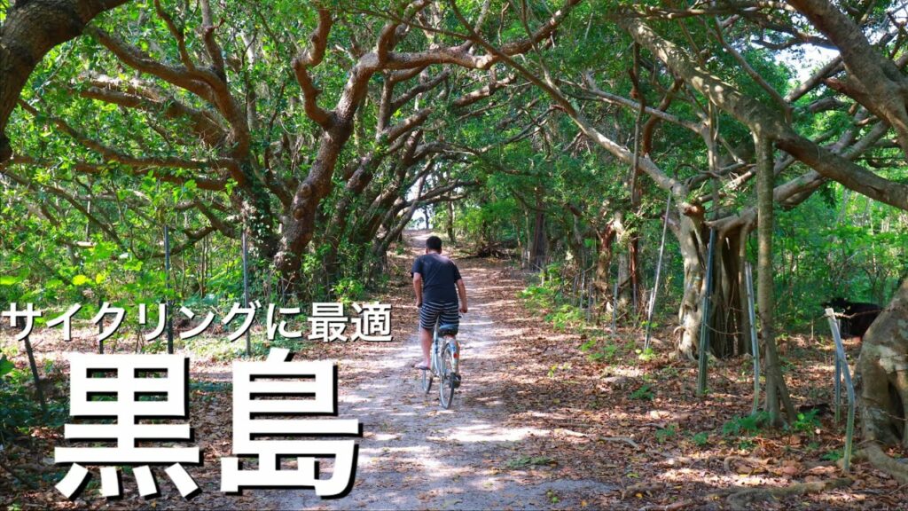 【人間より牛が多い島】大自然「黒島」でのサイクリングが最高すぎた!〜石垣島旅行を半日だけ離島に使ってみませんか?〜
