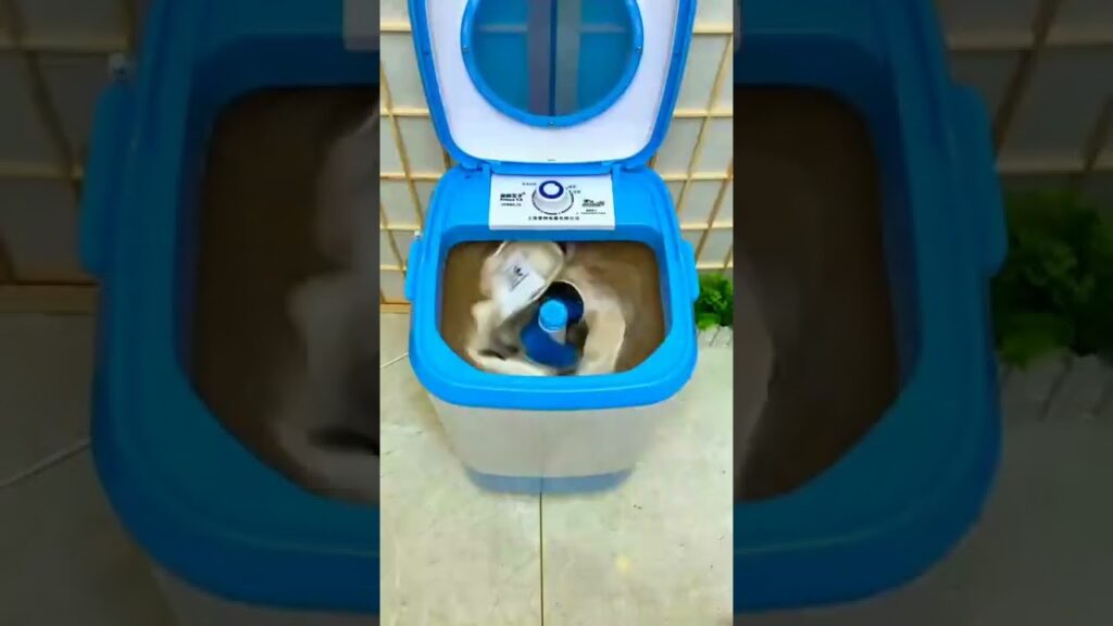 ガジェット 🎁🎁🎁 おすすめキッチングッズTop (ep850) #Shorts