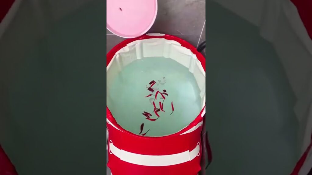 ガジェット 🎁🎁🎁 おすすめキッチングッズTop (ep871) #Shorts