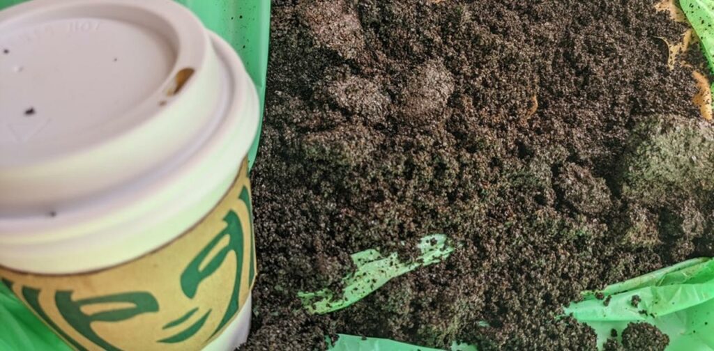 カフェでもらった“コーヒーかす”でガーデニングのためのいい土をつくろう!