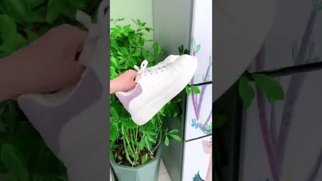 ガジェット 🎁🎁🎁 おすすめキッチングッズTop (ep913) #Shorts