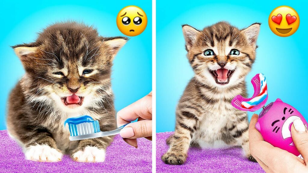 ペットの飼い主用賢い裏技とガジェット