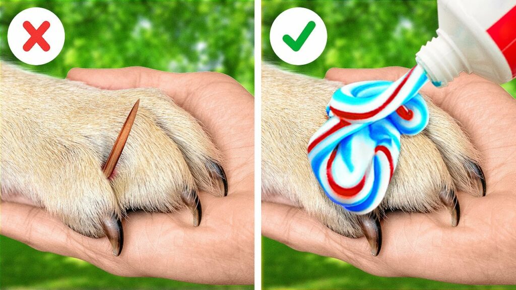 賢いライフハックとペットの飼い主用ガジェット