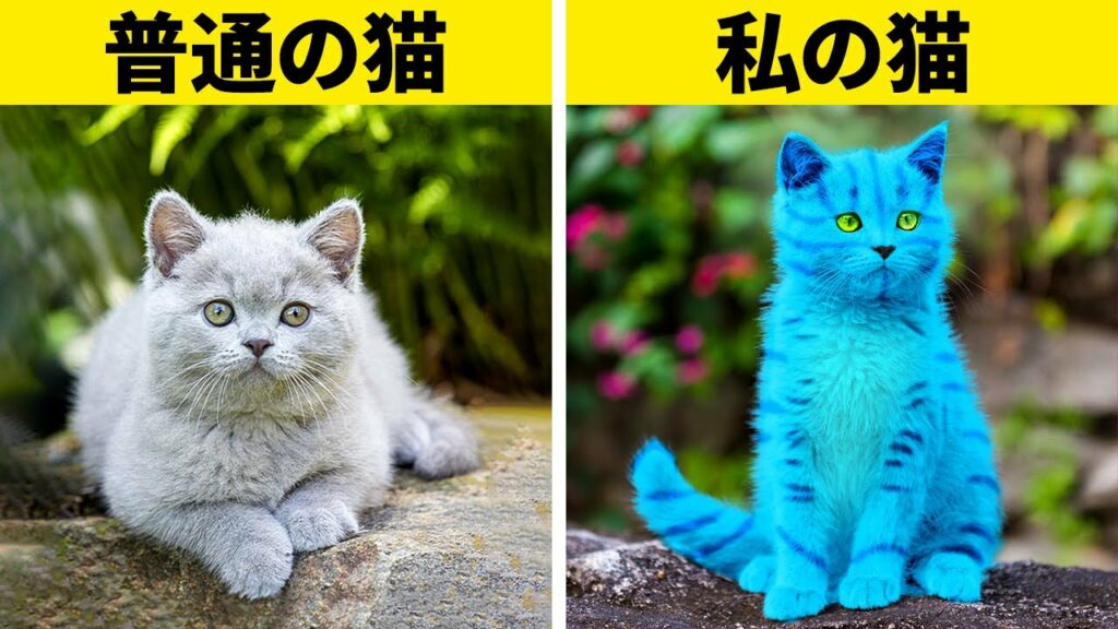 賢いガジェットと可愛いペット用ハック