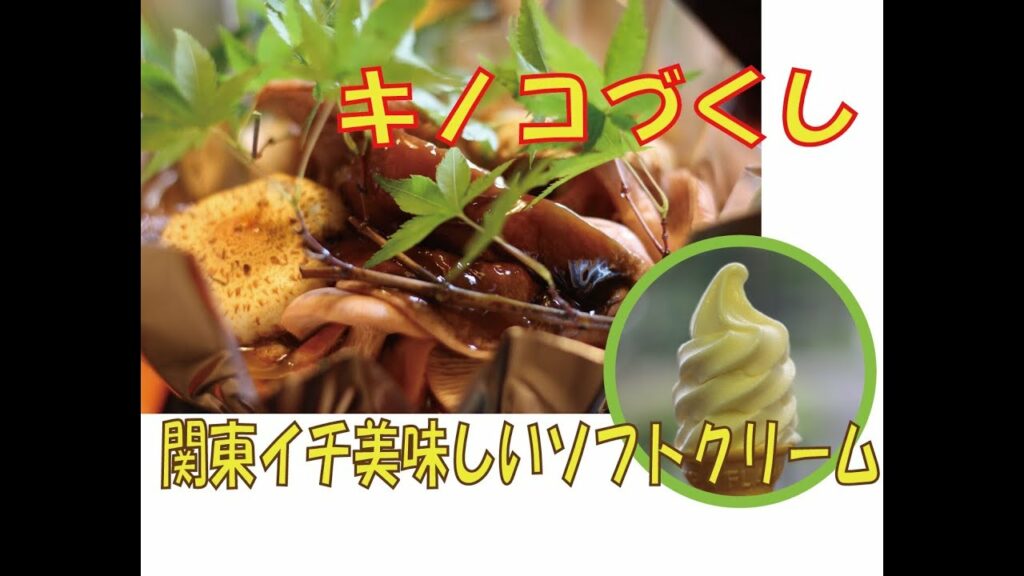 【山梨観光】ジビエ料理の仙人小屋とソフトクリームの清泉寮