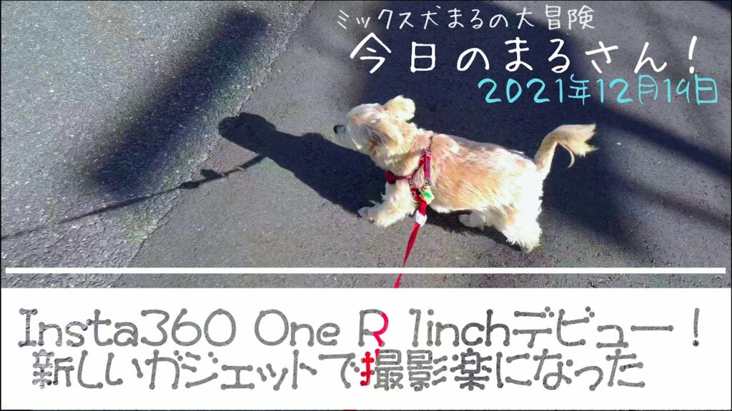 Insta360 OneR 1inchデビュー!新しいガジェットで撮影が楽になりました。 2021年1月1日【Dolby Atomos バイノーラルミックス・空間オーディオ】