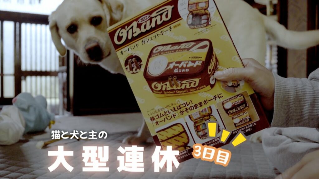 オーバンドのガジェットポーチを犬猫に見守られながら雑に開封