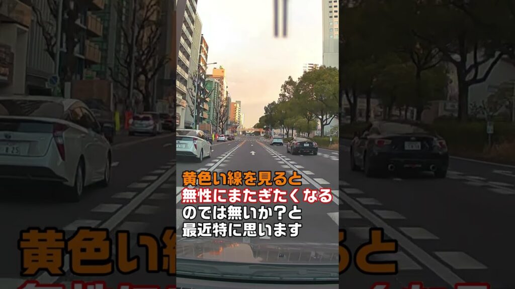 イエローラインを守れない症候群(進路変更したくなる症候群)#shorts