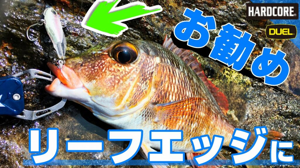 ブラックレーベルトラベル C70M-5 沖縄釣り × 沖縄ルアー釣り  #262