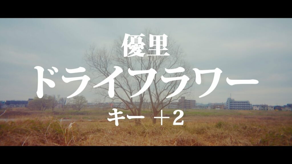 【キー +2】ドライフラワー/優里