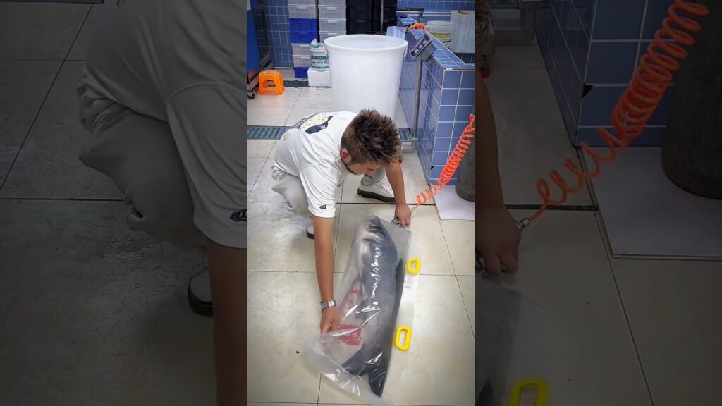 International travel of live fish !