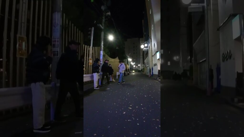 Okubo Park in the cold weather